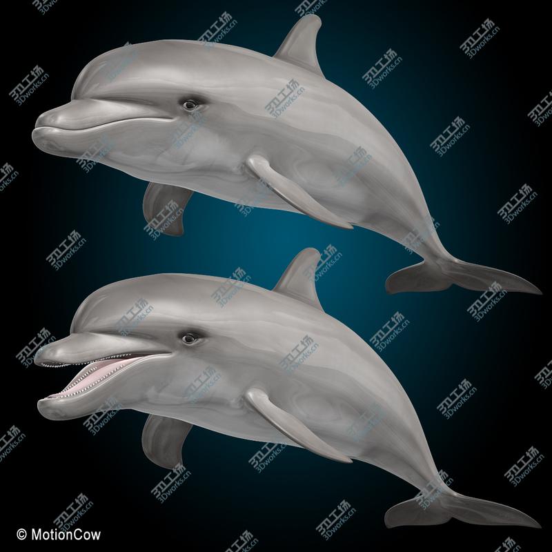 images/goods_img/20210114/Dolphin  Bottlenose  V2/3.jpg